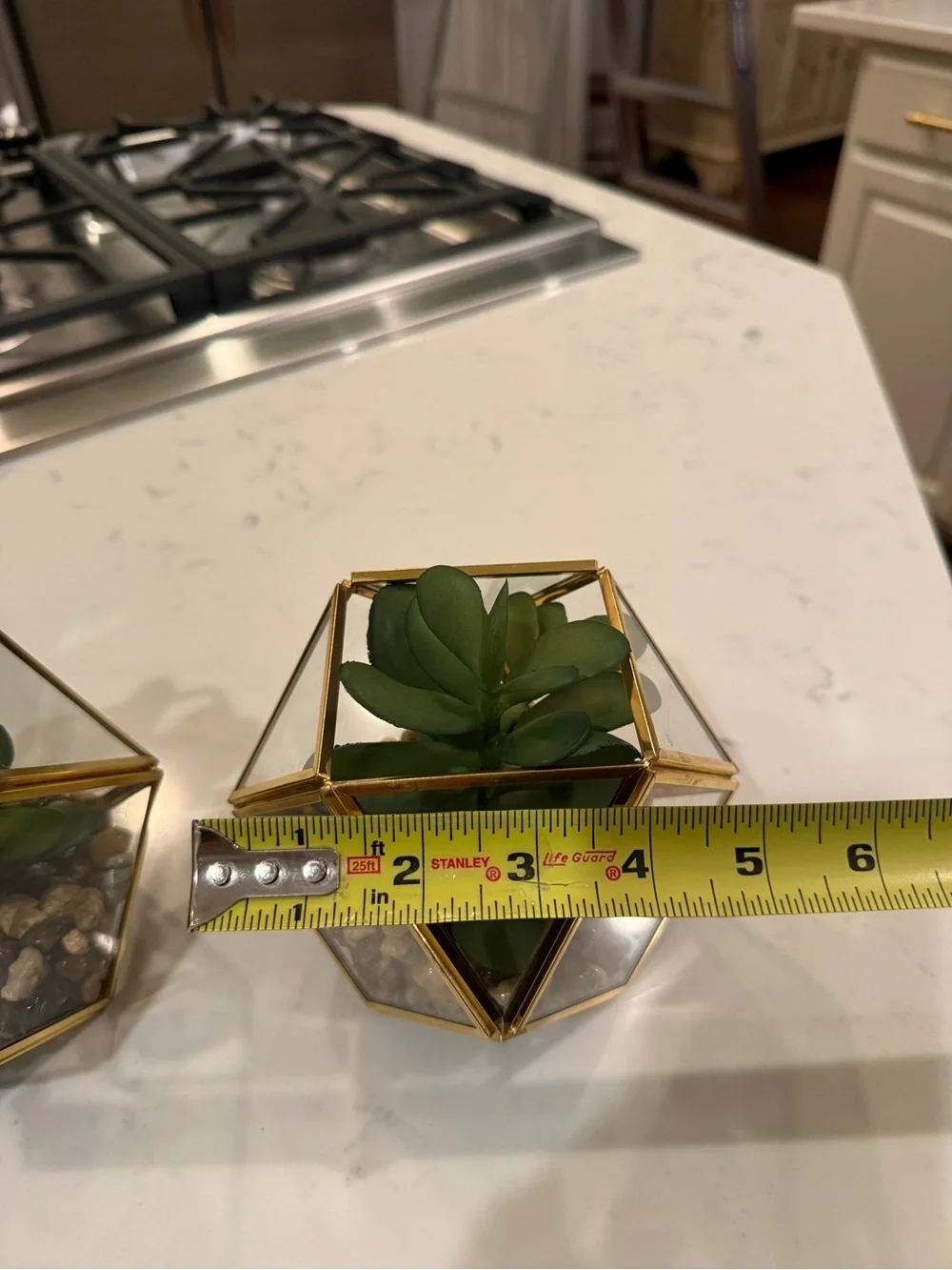 Target Threshold Artificial Indoor Succulent Plant in Brass/Glass Terrarium